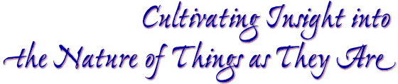 Cultivating Insight into the Nature of Things as They Are